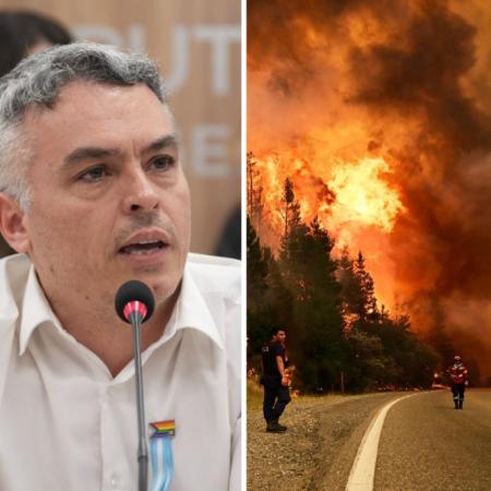 "Deje los shows": el pedido de Paulón a Milei por la emergencia ígnea