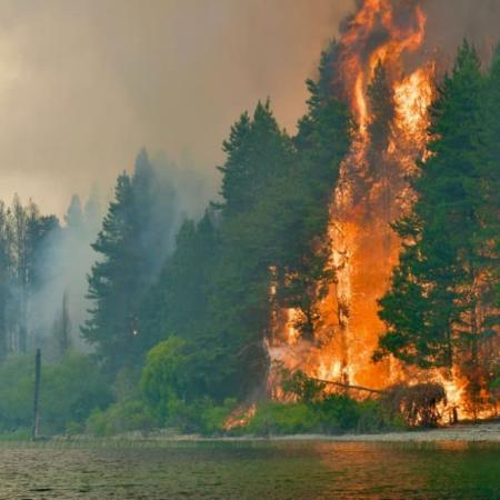 Chubut en llamas: la advertencia de Ignacio Torres que pone foco en los culpables