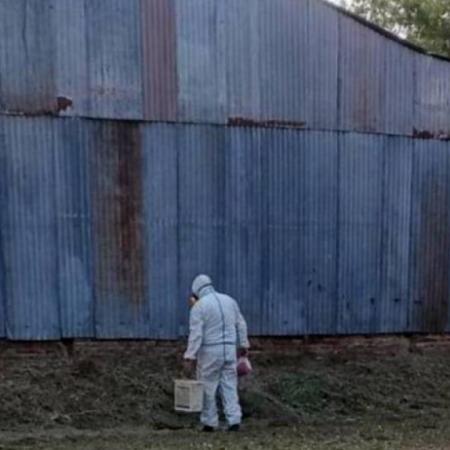 Más casos y muertes por hantavirus en zonas rurales de Buenos Aires: El peor registro en 5 años