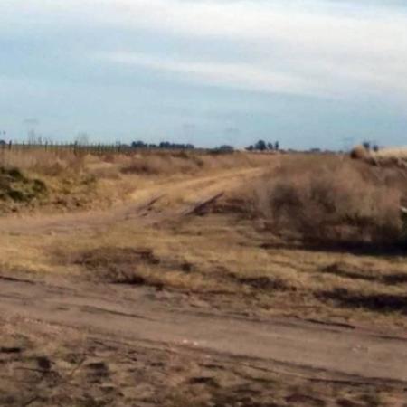 “Los caminos están detonados”: enojo del campo por un 105% de suba de la tasa vial en Adolfo Alsina