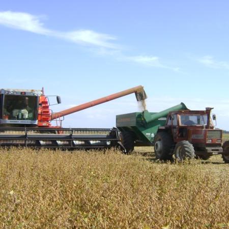 El clima define la campaña: en cuánto ajustó la BCR la proyección en soja para la zona Núcleo