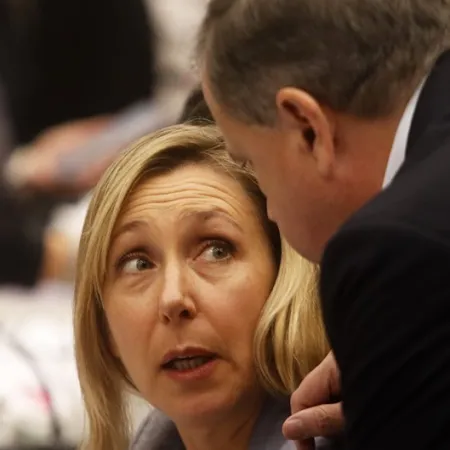 Represión, caos y gas adentro del Congreso: impactante relato de Myriam Bregmam