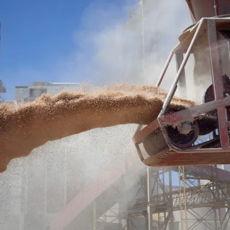 Soja y girasol, con récord de molienda y exportaciones en cifras históricas