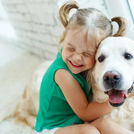 Dueños y mascotas en la misma tumba: qué permite ahora São Paulo y por qué genera ruido