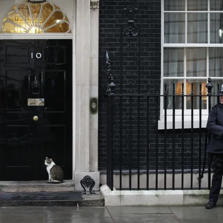 Larry, el gato que sobrevivió a todos en Downing Street