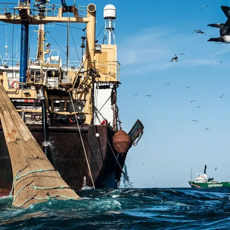 Río Negro y pesca ilegal: el pedido urgente de un diputado de Milei al Congreso