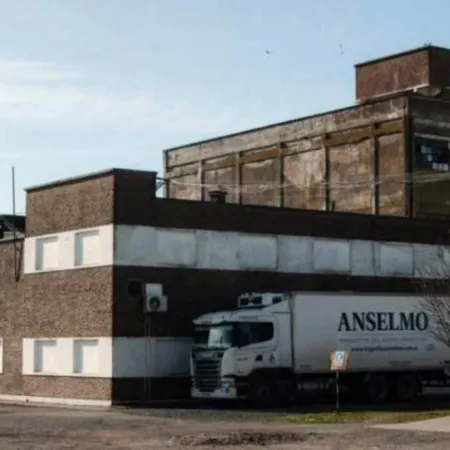 Del cierre a una nueva faena: La sorprendente apuesta que levantó a un frigorífico en Tres Arroyos