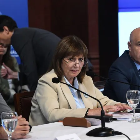 "No van a alcanzar los helicópteros": el duro cruce de Bullrich en el Senado por el 2001