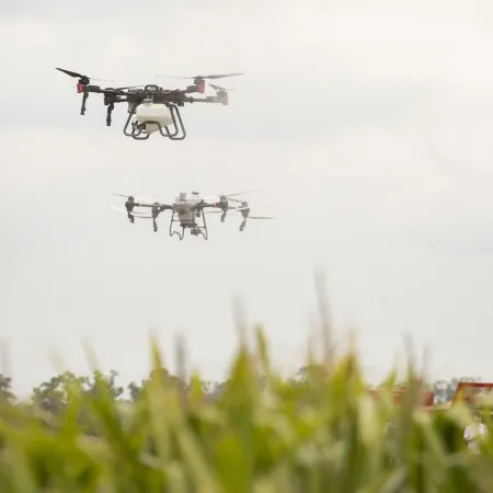 Provincia de Buenos Aires incorpora pilotos de drones como aplicadores fitosanitarios: ¿qué exige?