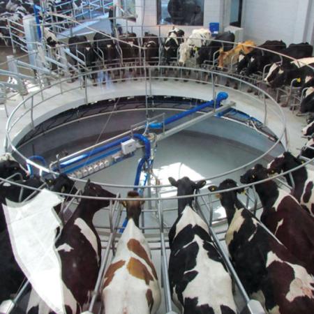 CRA advirtió que la carga impositiva sobre los tambos llega al 42% de sus ventas