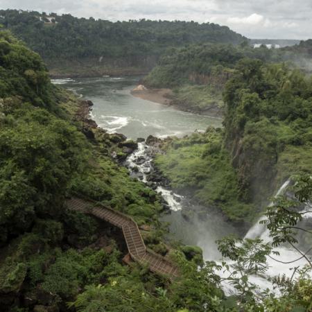 Conocé cuáles son los diez proyectos de certificación de carbono que revolucionan el agro argentino
