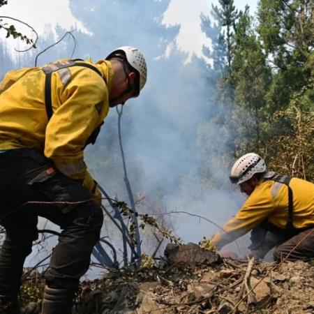 Incendios en Chubut: Buenos Aires envió brigadistas y advierten que el fuego es "cada vez más violento"