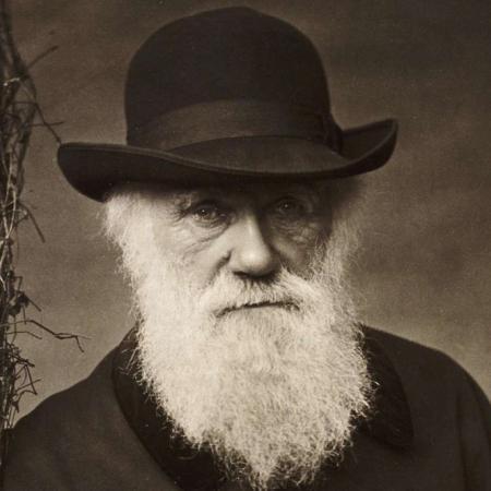 Día de Darwin: el científico que planteó la teoría de la evolución por selección natural y lo cambió todo