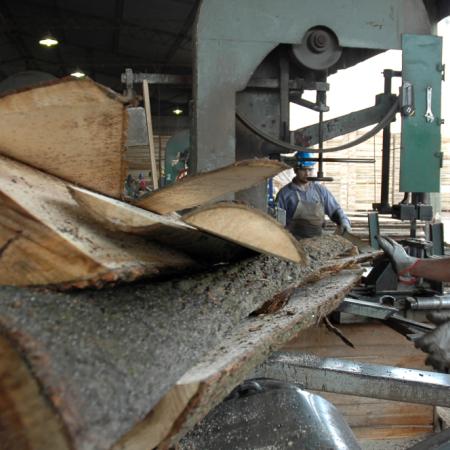 Las exportaciones, claves para sostener un 2025 complejo para la industria forestal