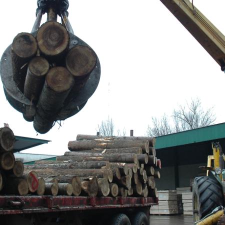 India: el nuevo destino que gana peso en las exportaciones de la industria forestal argentina