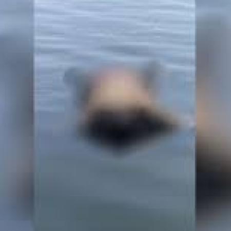 Autopista Buenos Aires-La Plata: un cadáver fue hallado en una laguna