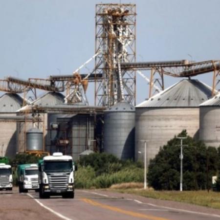 Acopiadores: "Cualquier intento de concentración abusiva del mercado será enfrentado institucionalmente”