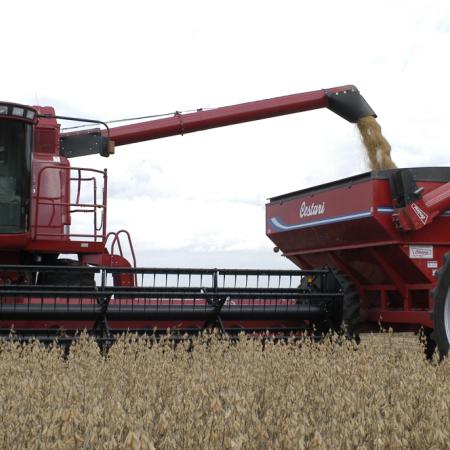 Con un clima que no termina de decidirse, la BCR anticipó una cosecha de soja en 48 millones de toneladas