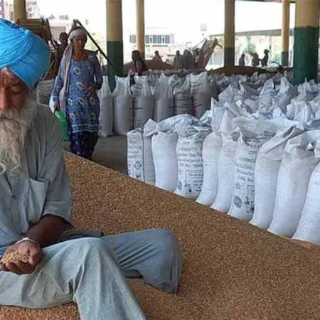 En medio del conflicto con productores, India autorizó exportaciones de trigo por 1,5 millones de toneladas