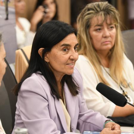 Matar al volante y seguir libre: la historia que marcó el debate en Diputados