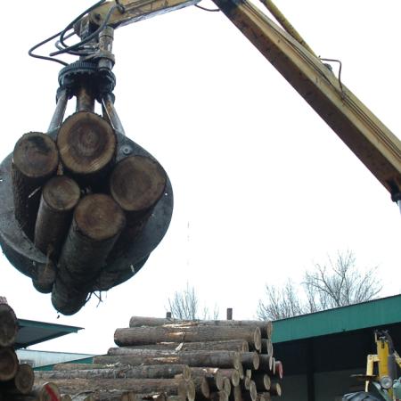 Alemania impulsa una plataforma de cooperación con la industria forestal argentina
