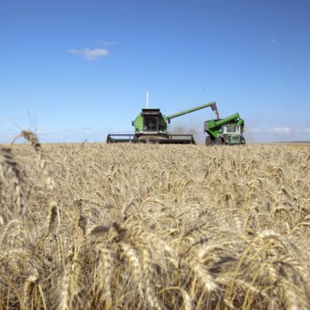 A Todo Trigo 2026: el congreso en Mar del Plata que llega con un récord histórico