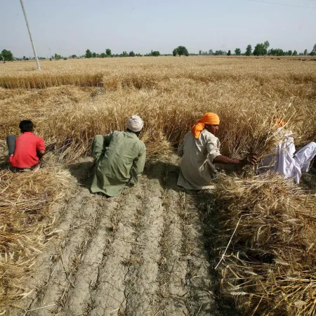 India prevé olas de calor récord y riesgo para el trigo en 2026