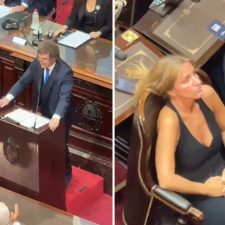 "Desquiciado": quién es la polémica diputada K que le dio la espalda a Milei