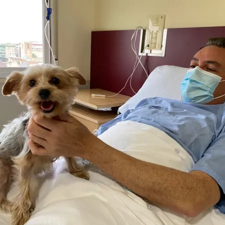 Tu perro en la sala de internación: el ambicioso proyecto que entró al Congreso