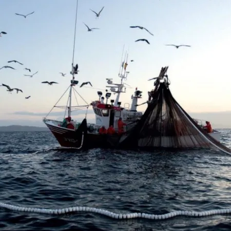 Pesca ilegal: cómo son los controles y prohibiciones que mandó Milei al Senado