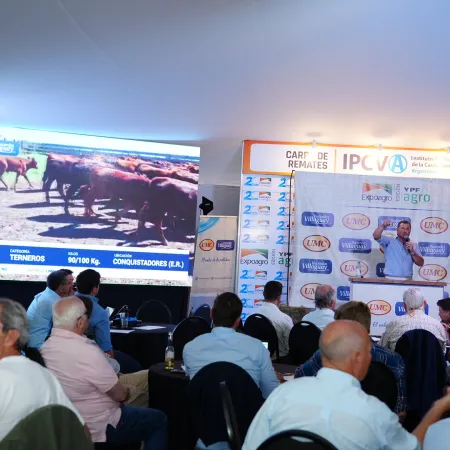 En Expoagro 2026, los negocios ganaderos ya picaron en punta