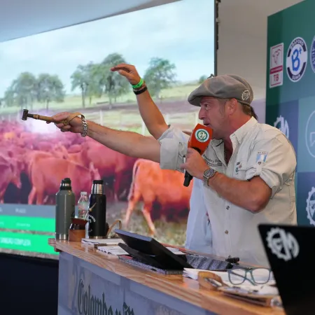 Expoagro tuvo su primer gran remate televisado y movió más de 38 mil cabezas
