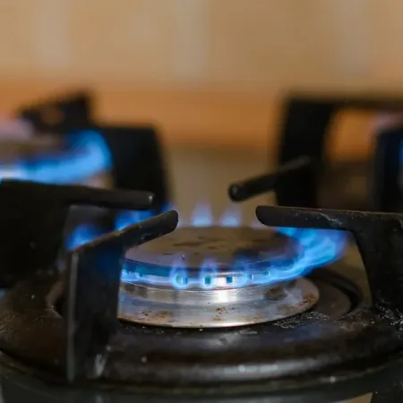 Poda de subsidios al gas natural: el temor de Tierra del Fuego llegó al Congreso