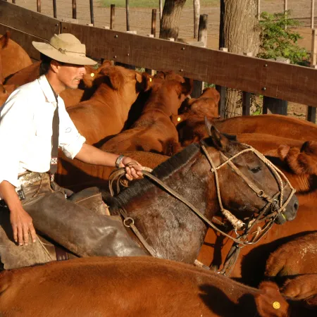 Día del Ruralista Argentino: su rol clave en la economía del país