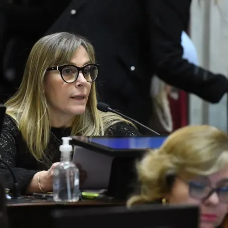 Soria y Di Tullio acusaron a Milei por Libra y estalló el Senado