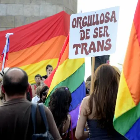 Milei, identidad de género y cirugías "mutilantes": qué decreto quieren derogar