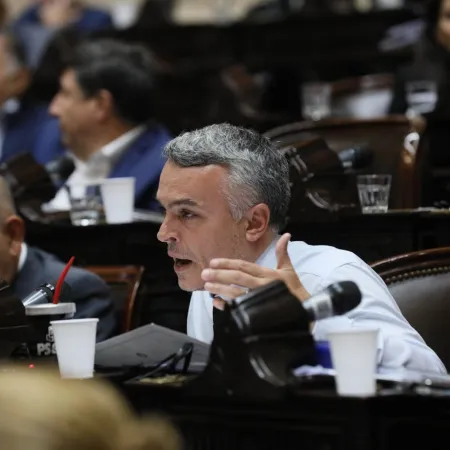 Esteban Paulón cruzó a Milei y lo acusó de negacionista