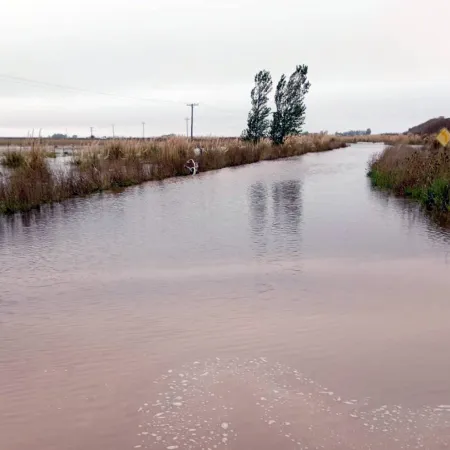 Temporal en PBA: lluvias de hasta 200 mm y el regreso del malestar en el campo