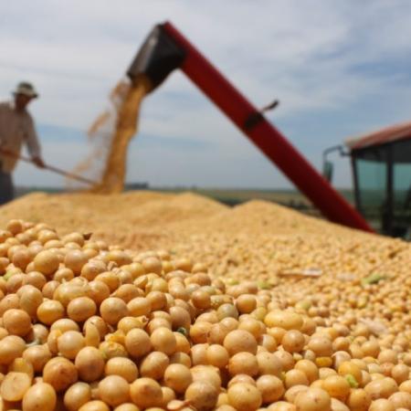 Luis Caputo proyectó más exportaciones y la SRA respondió con un reclamo