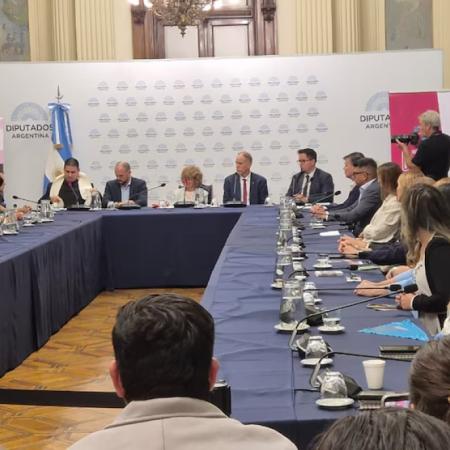 Congreso: el documento que impulsa una nueva ofensiva contra la ley de aborto