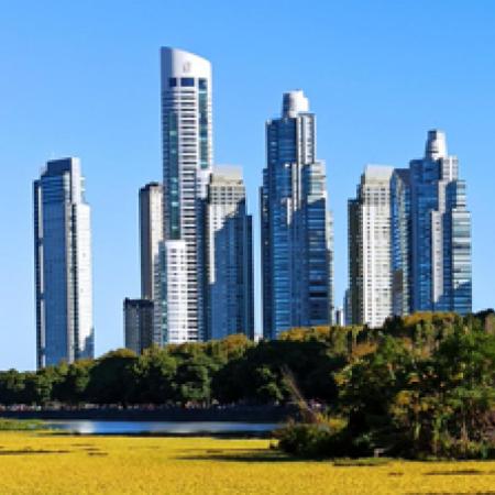 INTA: por qué el "chal-chal" puede ayudar a recuperar al Río de la Plata