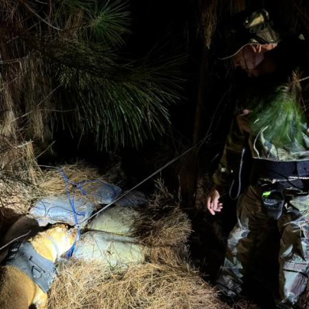 Descubren cargamento de cocaína valuado en $950 millones en el río Paraná