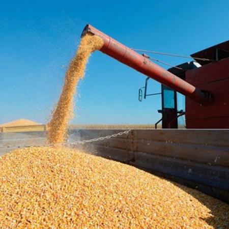 Febrero trajo alivio: las lluvias sostienen a la soja y llevan al maíz a un nuevo récord