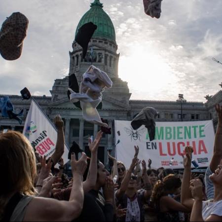 100.000 por la Ley de Glaciares: por qué habrá una marcha de las reposeras