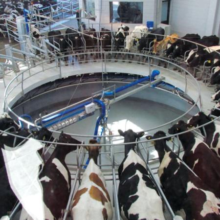 La provincia de Buenos Aires alertó por más de 1.000 tambos cerrados en dos años