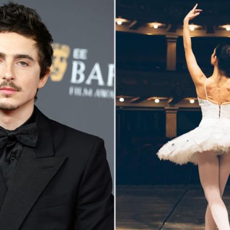 ¿Timothée Chalamet atacó al ballet por culpa de Spider-Man?