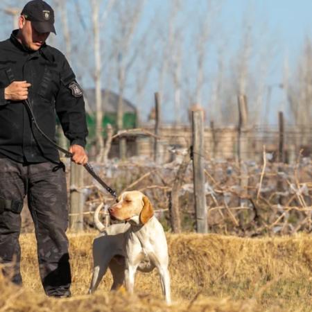 Fito, el perro policía de Mendoza que localizó a un hombre tras dos kilómetros