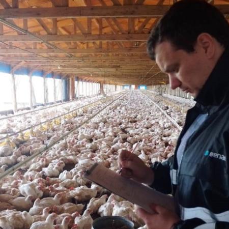 Detectaron el primer caso positivo de gripe aviar en la provincia de Córdoba