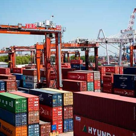 Ni soja ni carne vacuna: cuál fue el producto que lideró el ingreso de dólares