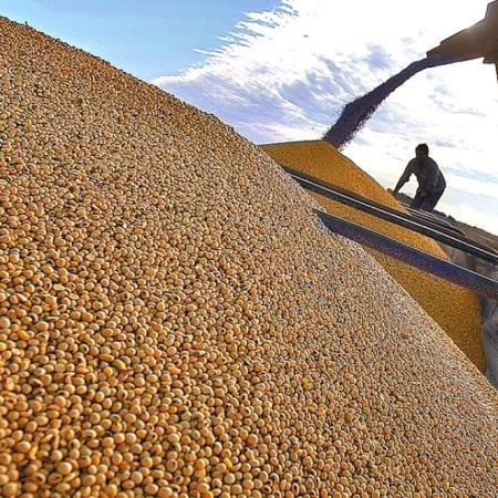 Semillas: el plan de Sturzenegger para ordenar ventas y proteger variedades